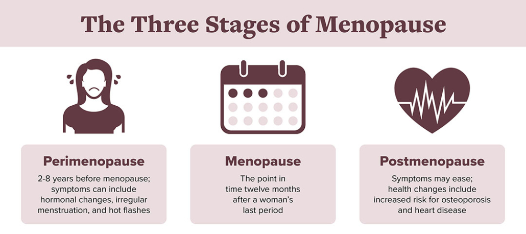 Menopause Stages